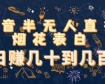 抖音半无人直播烟花表白,日赚几十到几百(教程+视频模板素材)-资源宝库吧