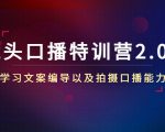 镜头口播特训营2.0版,学习文案编导以及拍摄口播能力(50节课时)-资源宝库吧