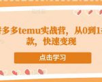 跨境拼多多temu实战营,从0到1打造爆款,快速变现-资源宝库吧