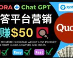 免费推广Clickbank热销商品,每单25.07美元,日赚50美元以上-资源宝库吧
