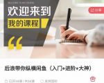 后浪带你纵横闲鱼(入门+进阶+大神),闲鱼最新玩法,简单粗暴-资源宝库吧