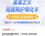 瑶瑶·自然流短视频IP孵化第二期,14天线上实战训练营,赋能100个人成为有数据能赚钱的独立IP孵化手-资源宝库吧