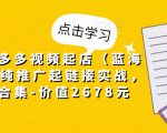 小乔·拼多多视频起店(蓝海项目),纯推广起链接实战,多玩法合集-价值2678元-资源宝库吧