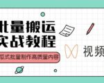 视频号批量搬运实战操作运营赚钱教程,傻瓜式批量制作高质量内容【附视频教程+PPT】-资源宝库吧