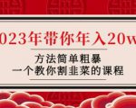 韭菜-联盟·2023年带你年入20w+方法简单粗暴,一个教你割韭菜的课程-资源宝库吧