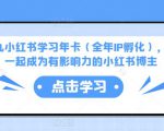 厦九九小红书学习年卡(全年IP孵化),沉浸式学习,一起成为有影响力的小红书博主-资源宝库吧