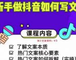新手做抖音如何写文案,手把手实操如何拆解热门文案-资源宝库吧