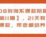 108将淘系爆款陪跑营【第11期】,21天教运营打爆款,帮老板培养运营-资源宝库吧