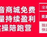 抖音商城搜索持续盈利陪跑成长营,抖音商城搜索从0-1、从1到10的全面解决方案-资源宝库吧