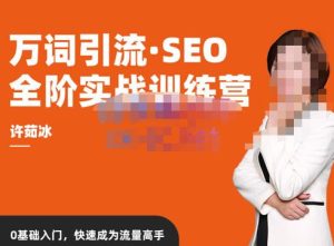 许茹冰·万词引流-SEO全阶实战训练营,0基础入门,快速成为流量高手-资源宝库吧