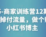 小红书-商家训练营12期:让商家丢掉付流量,做个赚钱的小红书博主-资源宝库吧