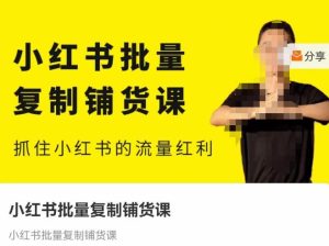 张宾·小红书批量复制铺货课,抓住小红书的流量红利 (更新2023年2月)-资源宝库吧