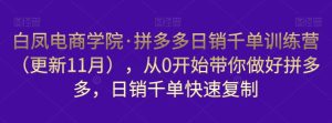 白凤电商学院·拼多多日销千单训练营，从0开始带你做好拼多多，日销千单快速复制（更新知2023年3月）-资源宝库吧