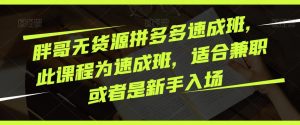 胖哥无货源拼多多速成班,此课程为速成班,适合兼职或者是新手入场-资源宝库吧