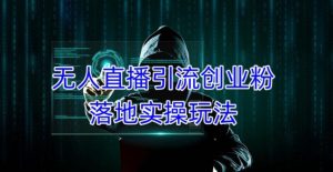 外面收费3980的无人直播引流创业粉落地实操玩法,单日引100+精准创业粉-资源宝库吧