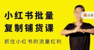 张宾·小红书批量复制铺货课，小红书0-1快速起号变现玩法，抓住小红书的流量红利（更新2023年3月）-资源宝库吧