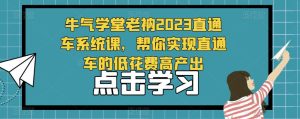 牛气学堂老衲2023直通车系统课,帮你实现直通车的低花费高产出-资源宝库吧