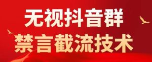 外面卖1500抖音粉丝群无视禁言截流技术,抖音黑科技,直接引流,0封号-资源宝库吧