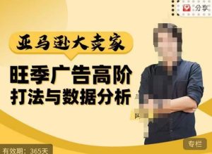 阿甘·亚马逊大卖家广告高阶打法与数据分析,走出传统广告误区;揭秘大卖惯用打法;数据驱动广告决策-资源宝库吧
