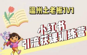 小红书1对1引流获客训练营:账号、内容、引流、成交(价值3999元)-资源宝库吧
