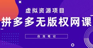 【白龙笔记】拼多多无版权网课项目,月入5000的长期项目,玩法详细拆解【揭秘】-资源宝库吧