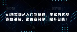 AI精英课从入门到精通，丰富的实战案例讲解，跟着案例学，提升自我！-资源宝库吧