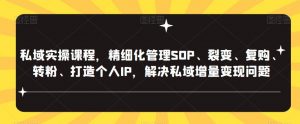私域实操课程,精细化管理SOP、裂变、复购、转粉、打造个人IP,解决私域增量变现问题-资源宝库吧