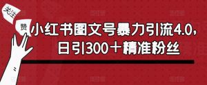 小红书图文号暴力引流4.0,日引300+精准粉丝【揭秘】-资源宝库吧