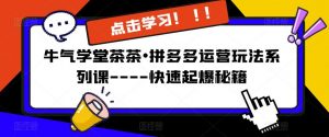 牛气学堂茶茶•拼多多运营玩法系列课—-快速起爆秘籍【更新】-资源宝库吧