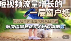 任性大舅·宠物行业短视频运营课(不讲废话),短视频流量增长的一层窗户纸,解决流量焦虑&实现降本增效-资源宝库吧