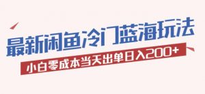 2023最新闲鱼冷门蓝海玩法,小白零成本当天出单日入200+【揭秘】-资源宝库吧