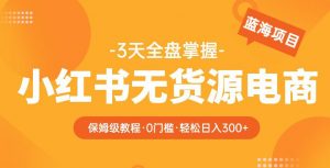 2023【阿本小红书无货源电商训练营】保姆级教程,从0到1,3天全盘掌握,轻松日入300+-资源宝库吧