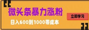 微头条暴力涨粉技巧搬运文案就能涨几万粉丝,简单0成本,日赚600【揭秘】-资源宝库吧
