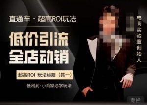 电商冰可乐·直通车·《低价引流·全店动销》,直通车·超高ROI玩法(其一)全店动销必学玩法-资源宝库吧