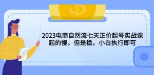 2023电商自然流七天正价起号实战课:起的慢,但是稳,小白执行即可!-资源宝库吧