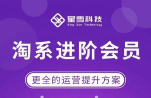 星雪·淘系进阶课程,快速提升突破技能流量瓶颈必备(更新2023年5月)-资源宝库吧