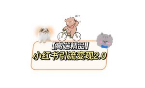 小红书最新引流变现教程,全网最新最详细的视频教程以及素材-资源宝库吧