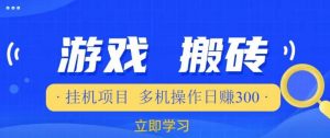 游戏挂机挂机项目,多机操作,日赚300【揭秘】-资源宝库吧