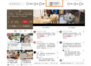 小红书蓝海类赛道:小动物打赏与购买变现副业项目,一条龙玩法分享给你!-资源宝库吧