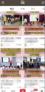 幼儿园公开课项目,虚拟资源变现,一单19.9,单日变现300-资源宝库吧