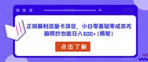 正规暴利流量卡项目,小白零基础零成本无脑照抄也能日入300+【揭秘】-资源宝库吧